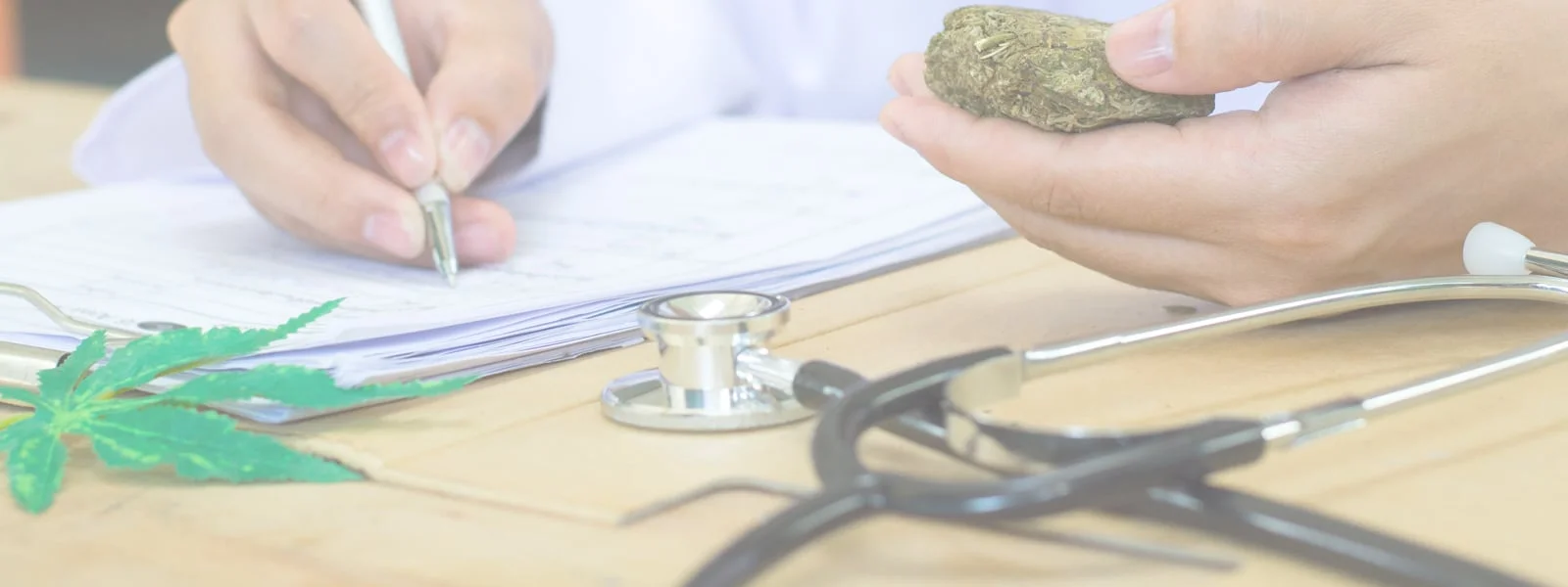 Medical Marijuana Doctor